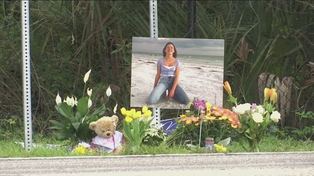 Young hit-and-run victim dies from injuries